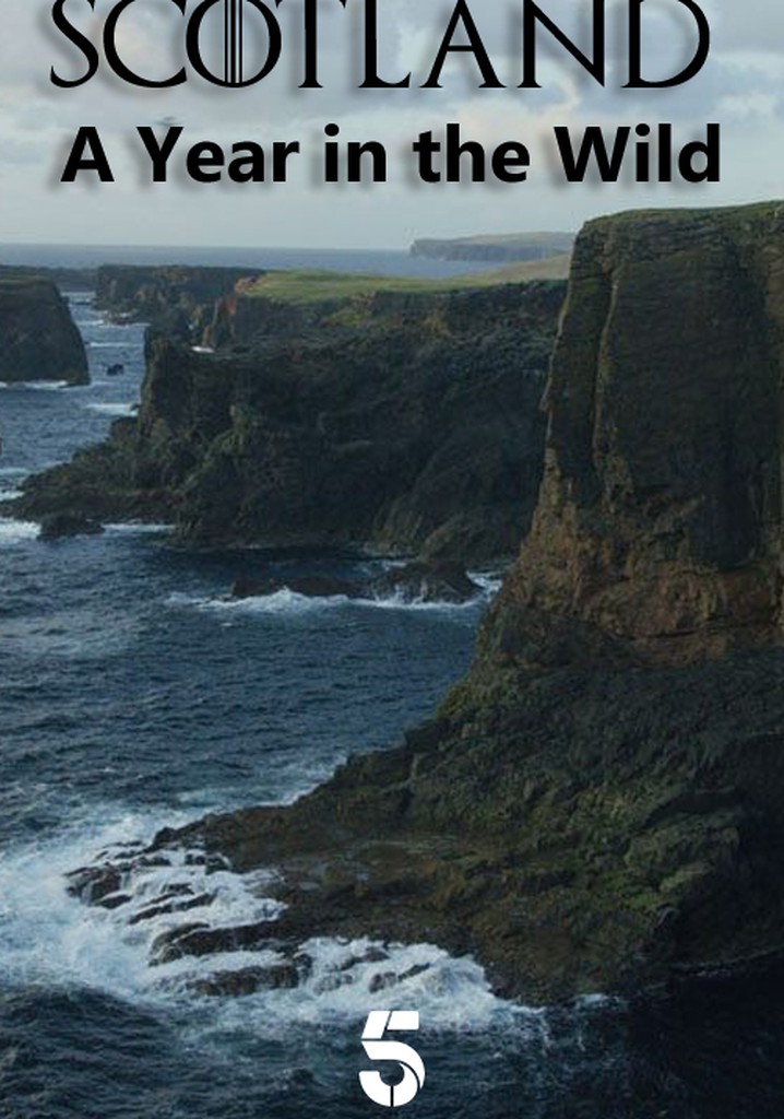 Scotland: A Wild Year poster