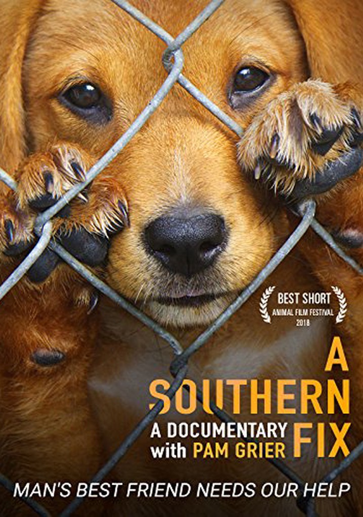 A Southern Fix poster