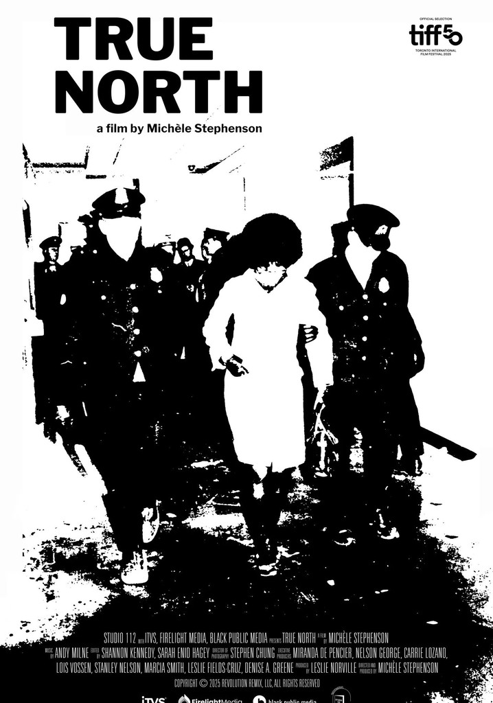 True North poster