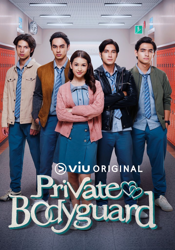 Private Bodyguard poster