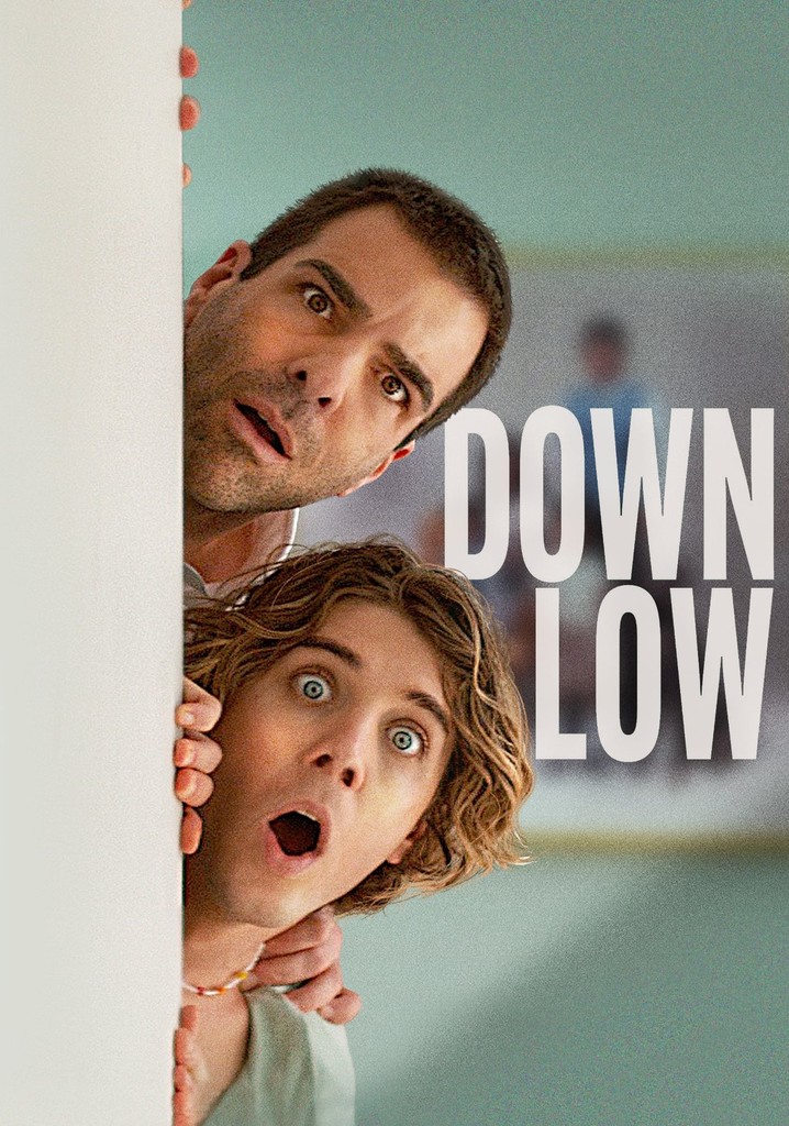 Down Low poster