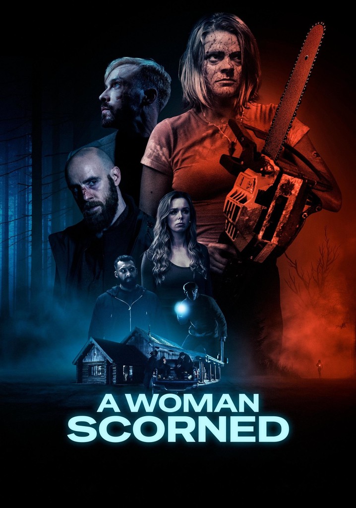 A Woman Scorned poster