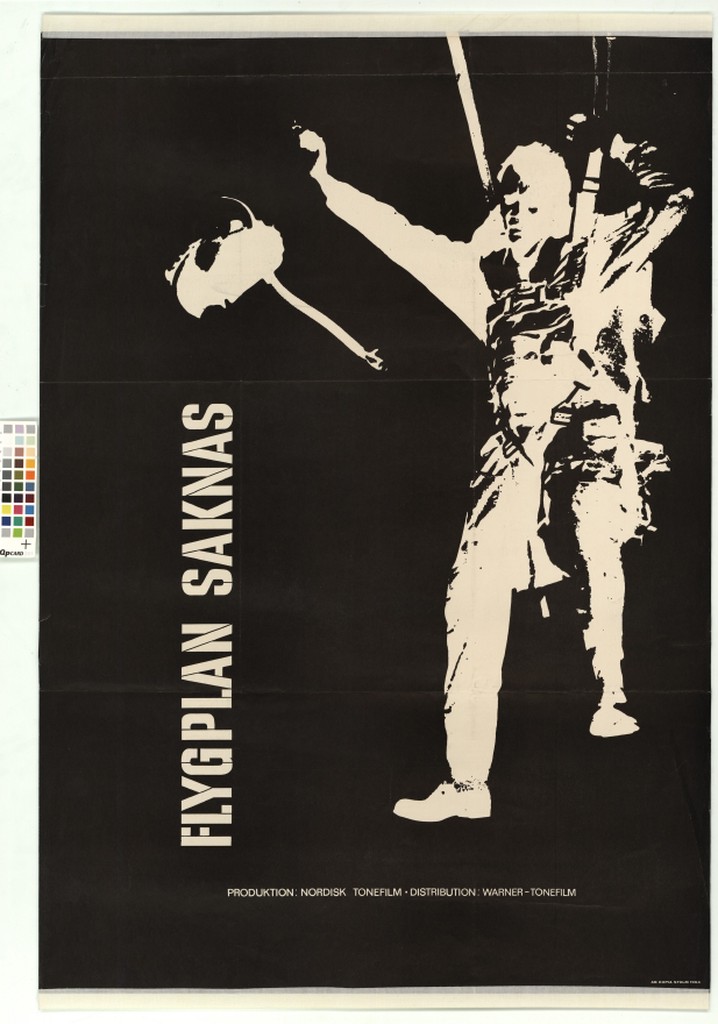 Flygplan saknas poster