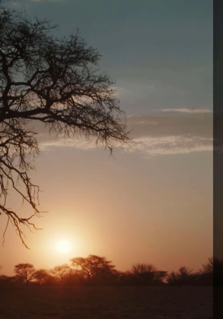 Abenteuer Namibia poster