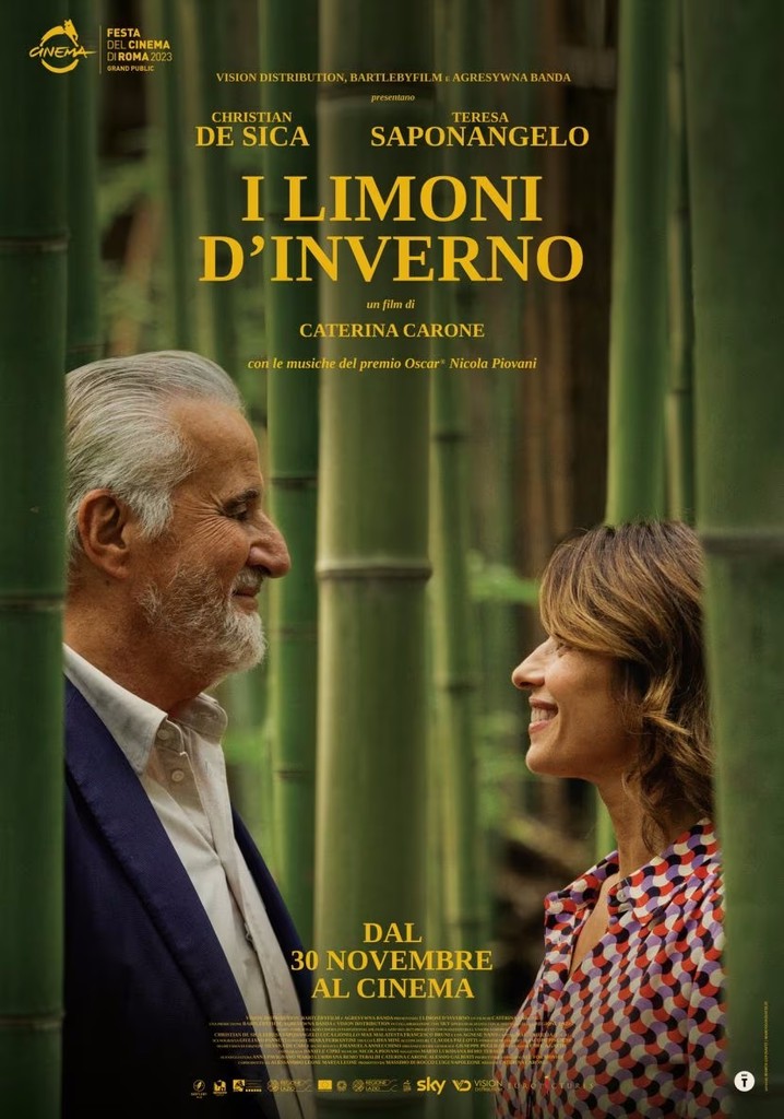 I limoni d'inverno poster