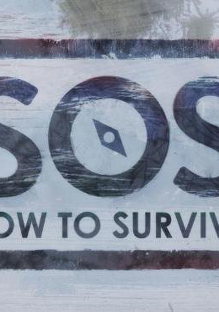 How to Survive poster