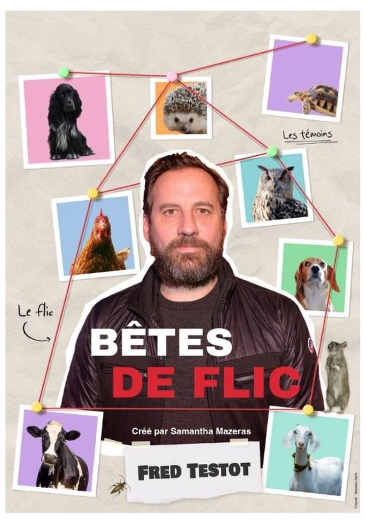 Bêtes de Flic poster