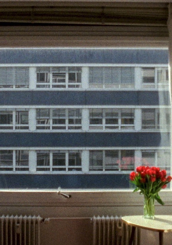 21.3 °C poster