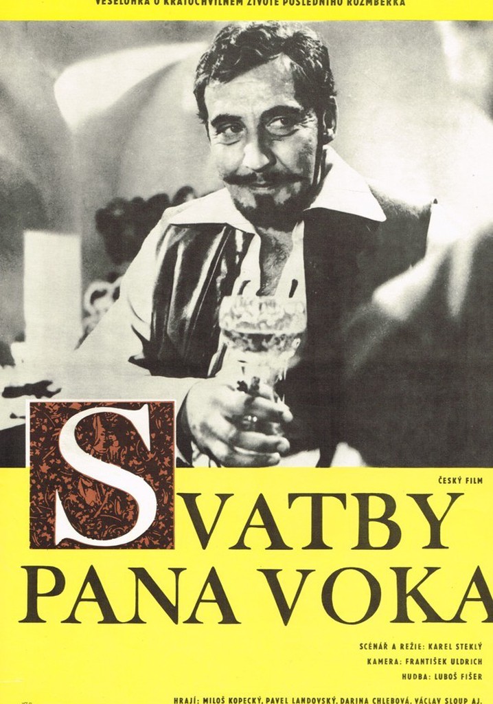Svatby pana Voka poster