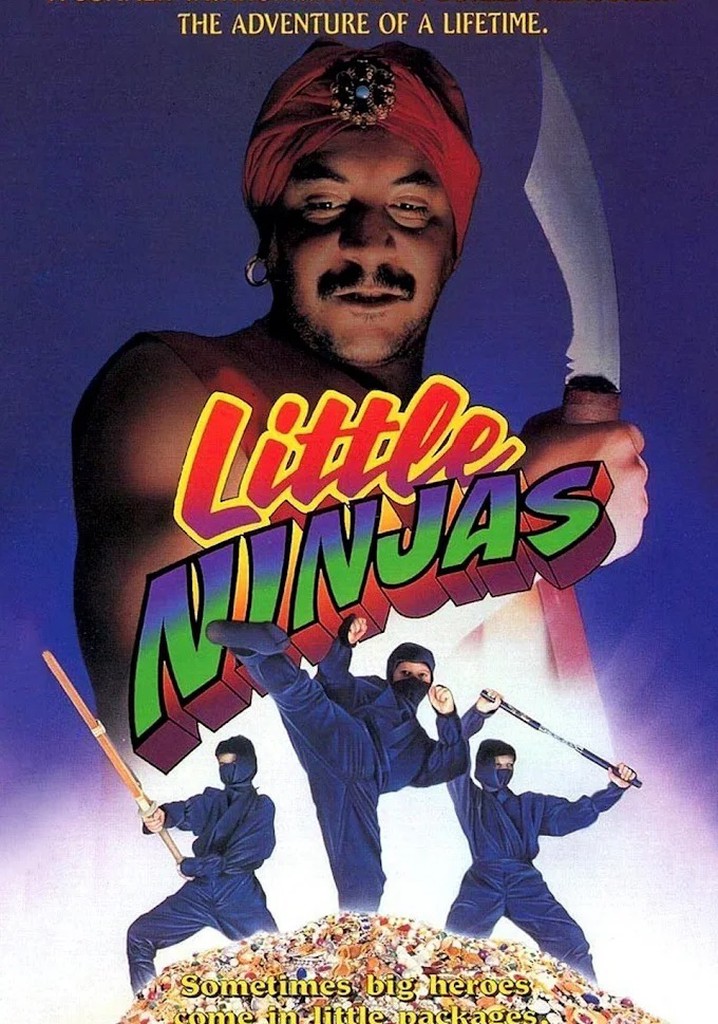 Little Ninjas poster