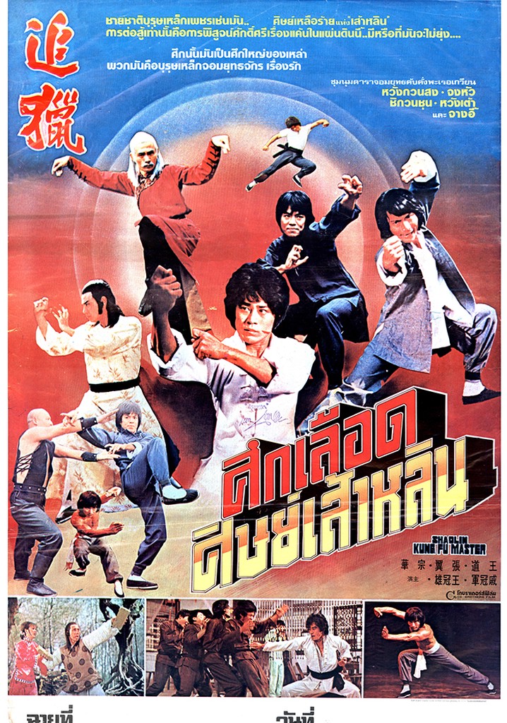 Shaolin Kung Fu Master poster