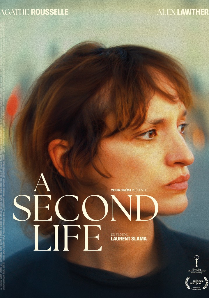 A Second Life poster