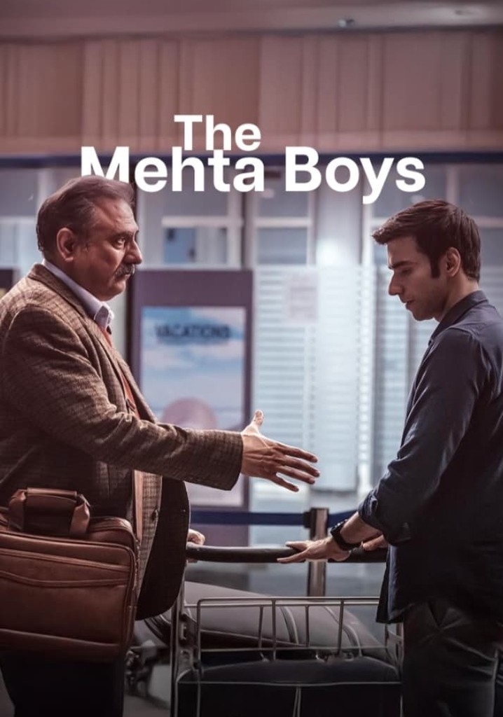 The Mehta Boys poster