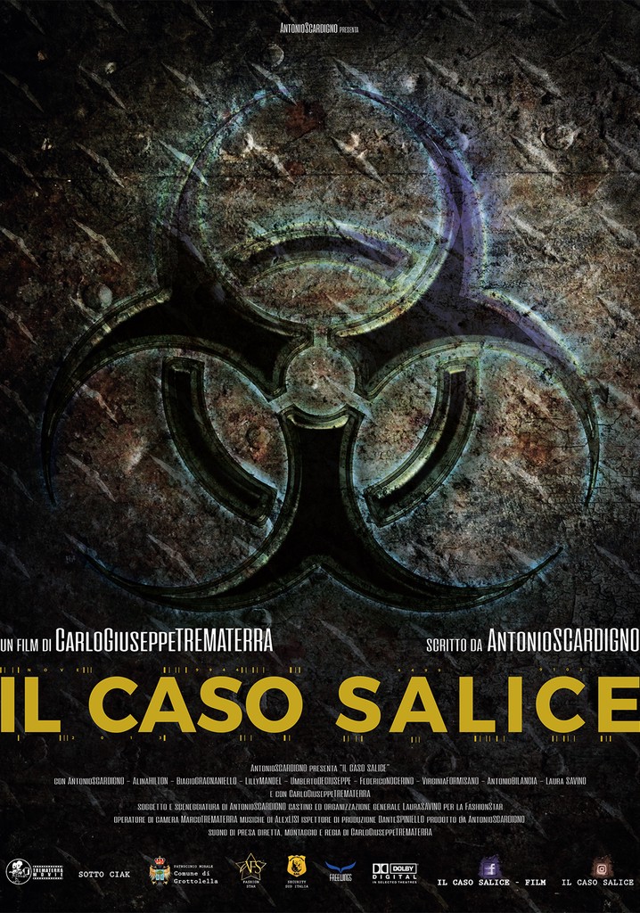 Salice's Case poster