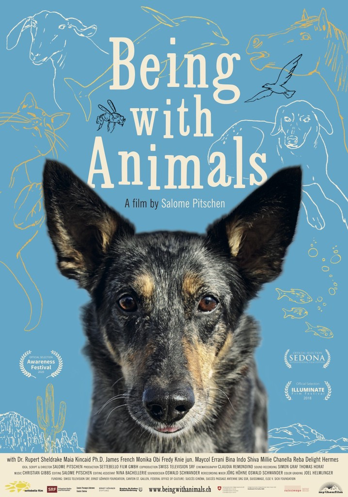 Being with Animals poster