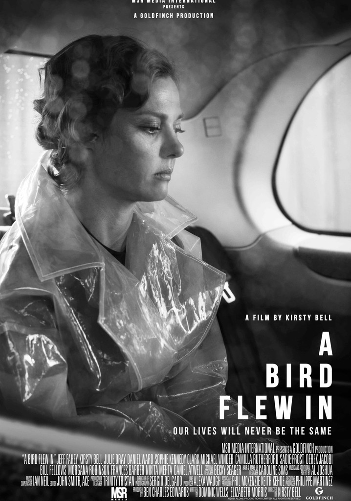 A Bird Flew In poster
