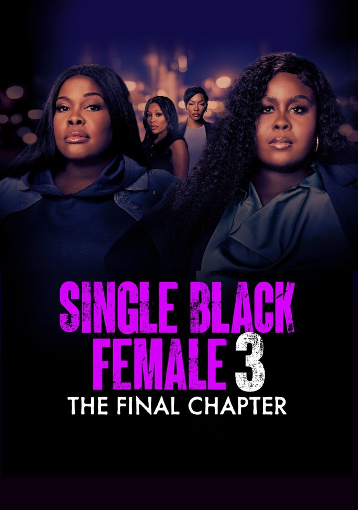 Single Black Female 3: The Final Chapter poster