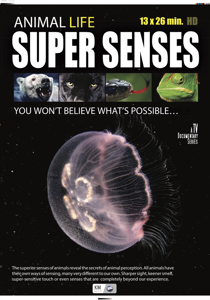 Super Senses poster