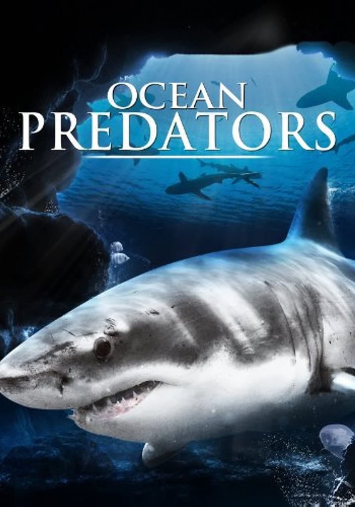 Ocean Predators poster