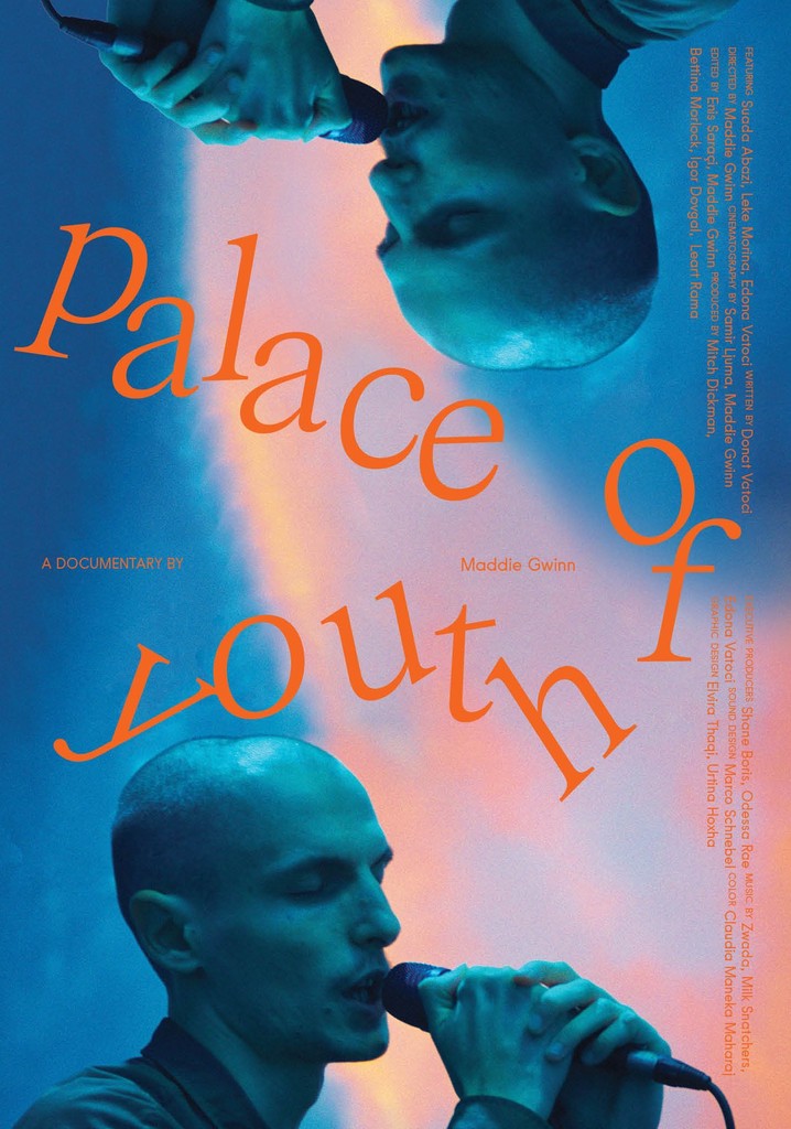 Palace of Youth poster