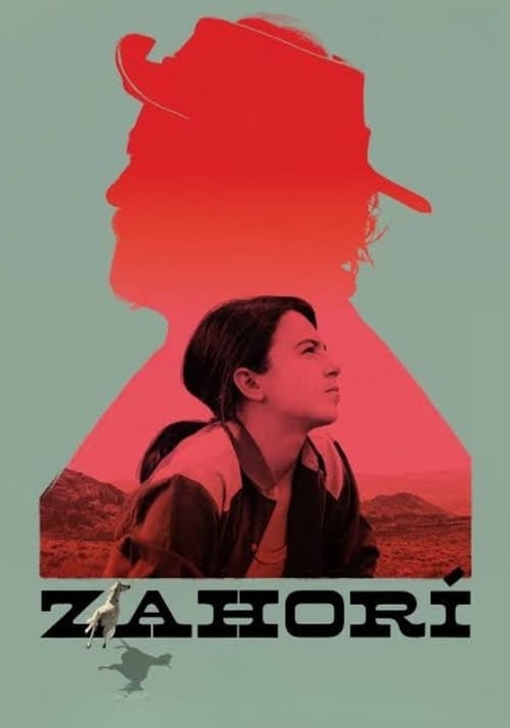 Zahorí poster