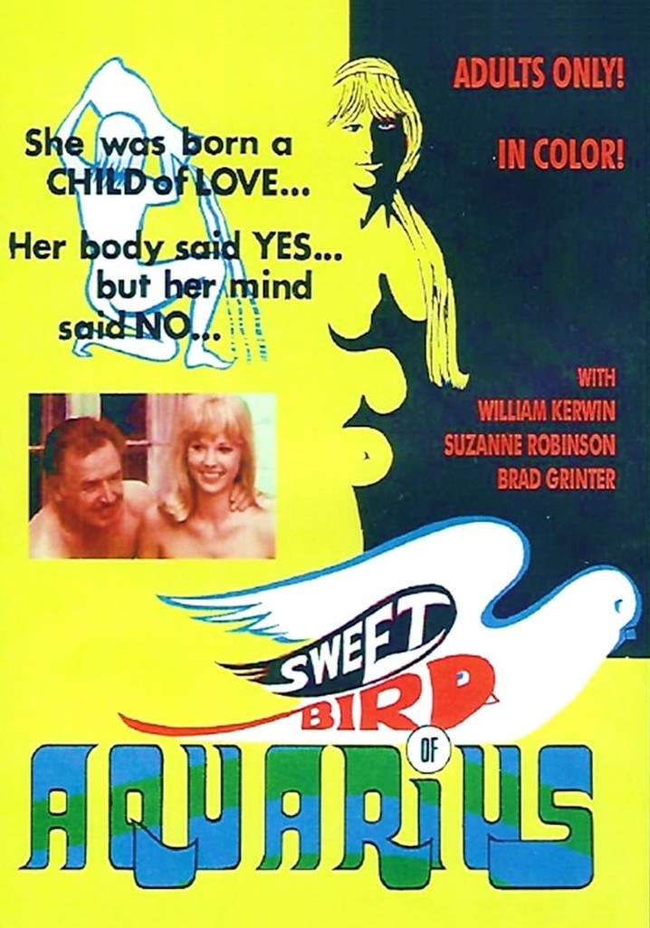 Sweet Bird of Aquarius poster