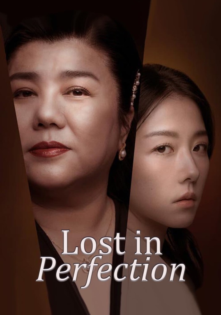 Lost in Perfection poster