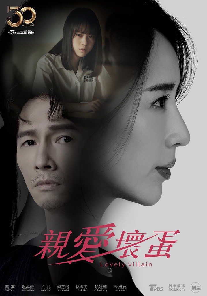 Lovely Villain poster