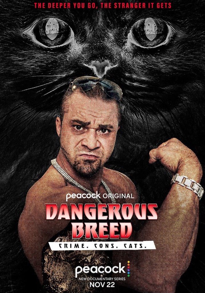 Dangerous Breed: Crime. Cons. Cats. poster