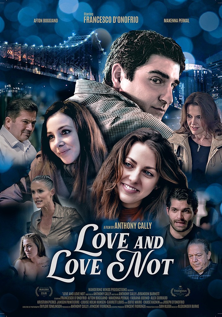 Love and Love Not poster