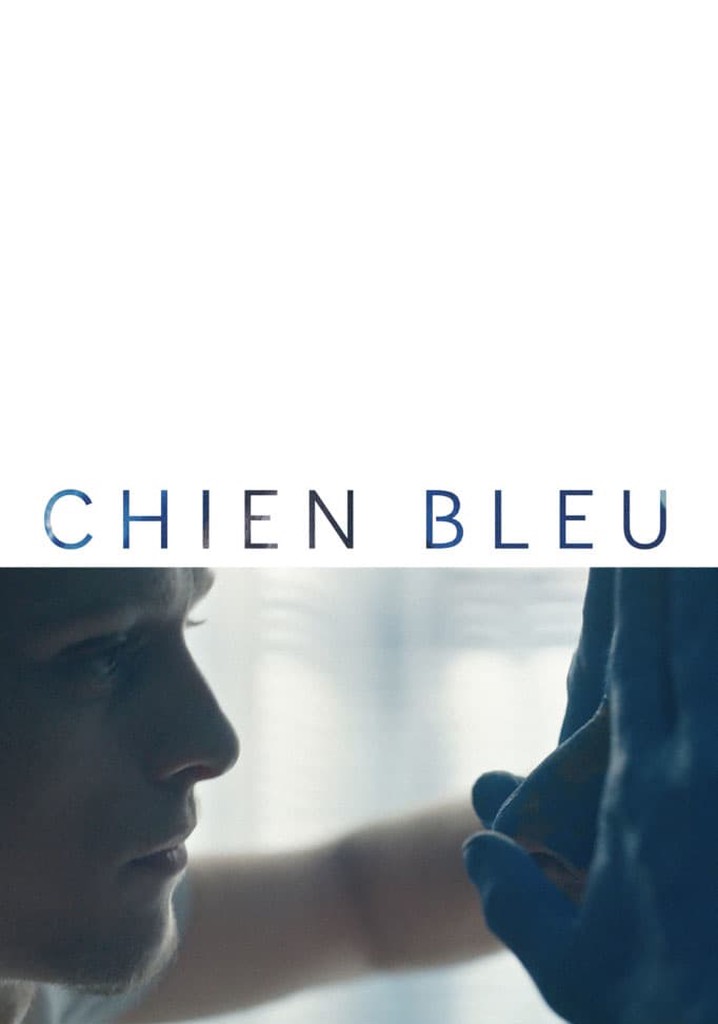 Blue Dog poster