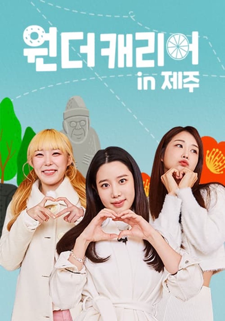 원더캐리어 poster