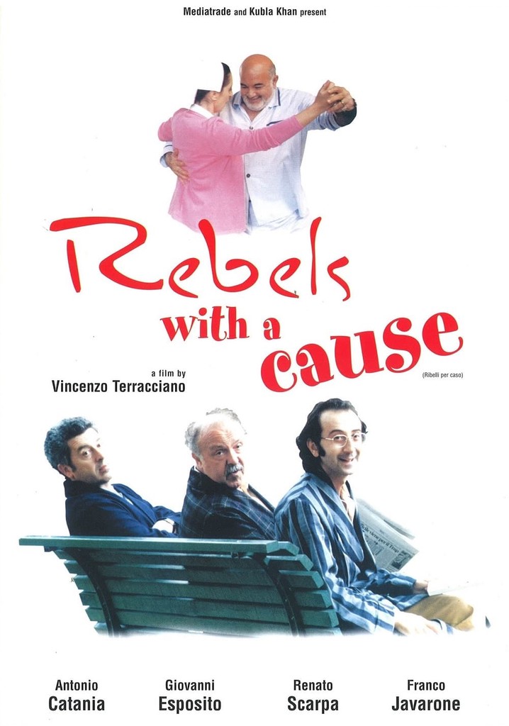 Ribelli per caso poster