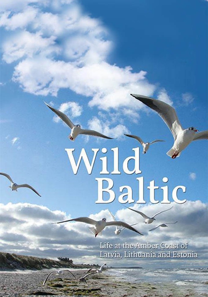 Wild Baltic poster