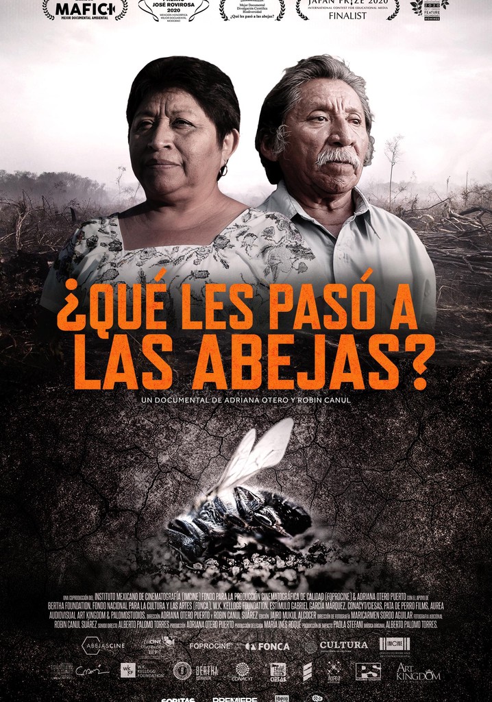 ¿Qué les pasó a las abejas? poster