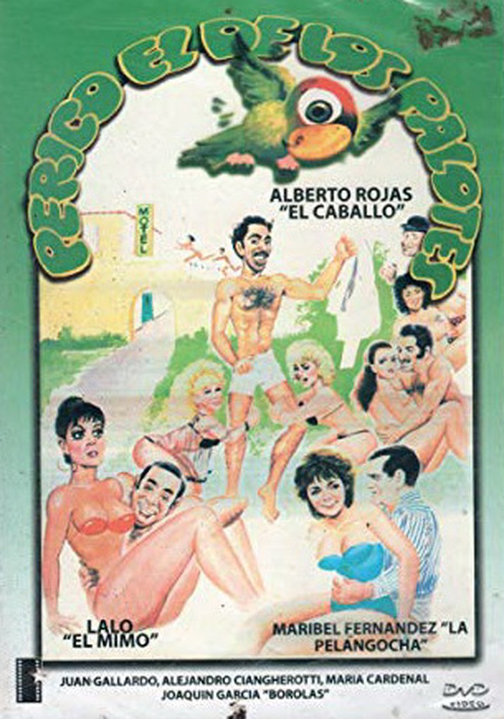 Perico el de los palotes poster