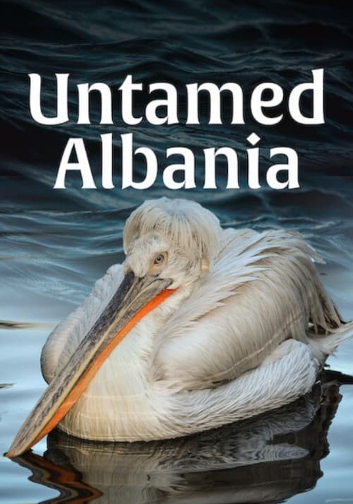 Untamed Albania poster