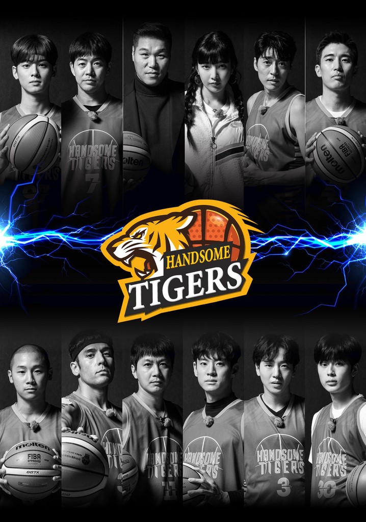Handsome Tigers poster
