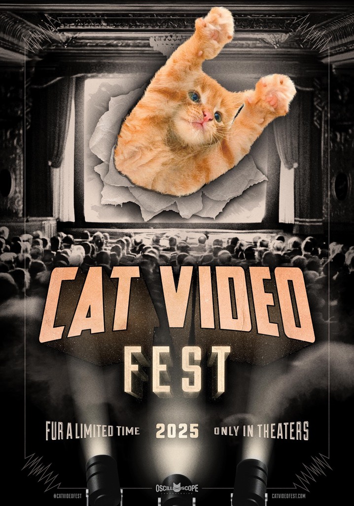 CatVideoFest 2025 poster