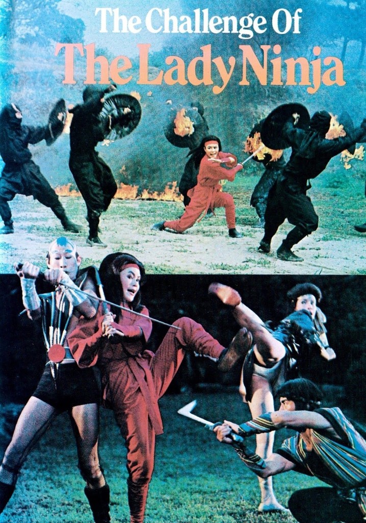 The Challenge of the Lady Ninja poster