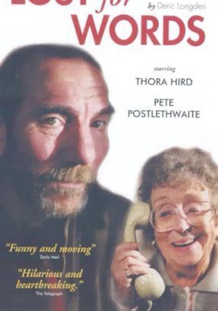 Lost for Words poster