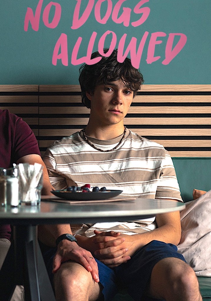 No Dogs Allowed poster