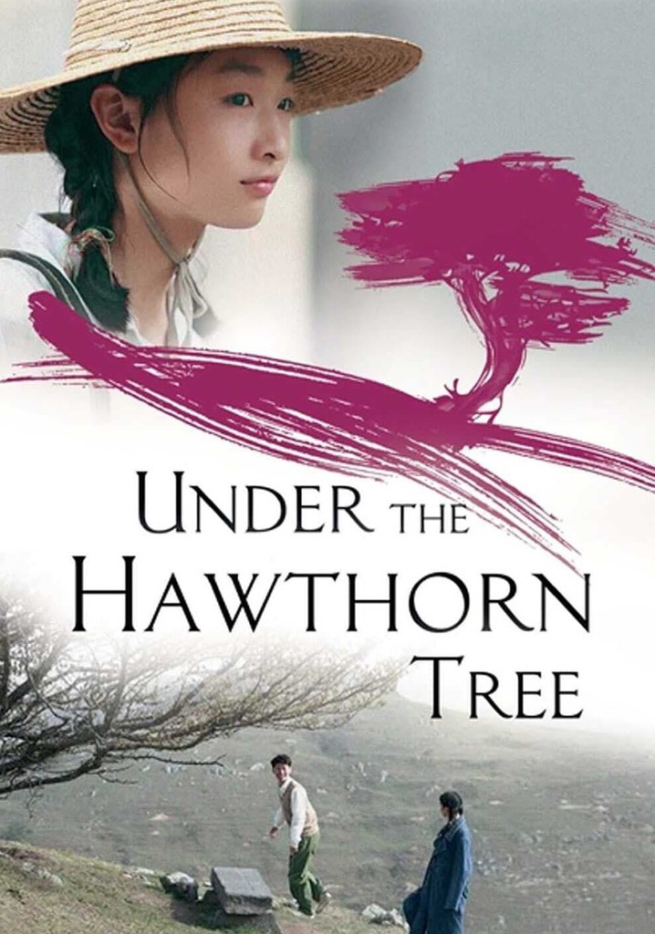 Under the Hawthorn Tree poster