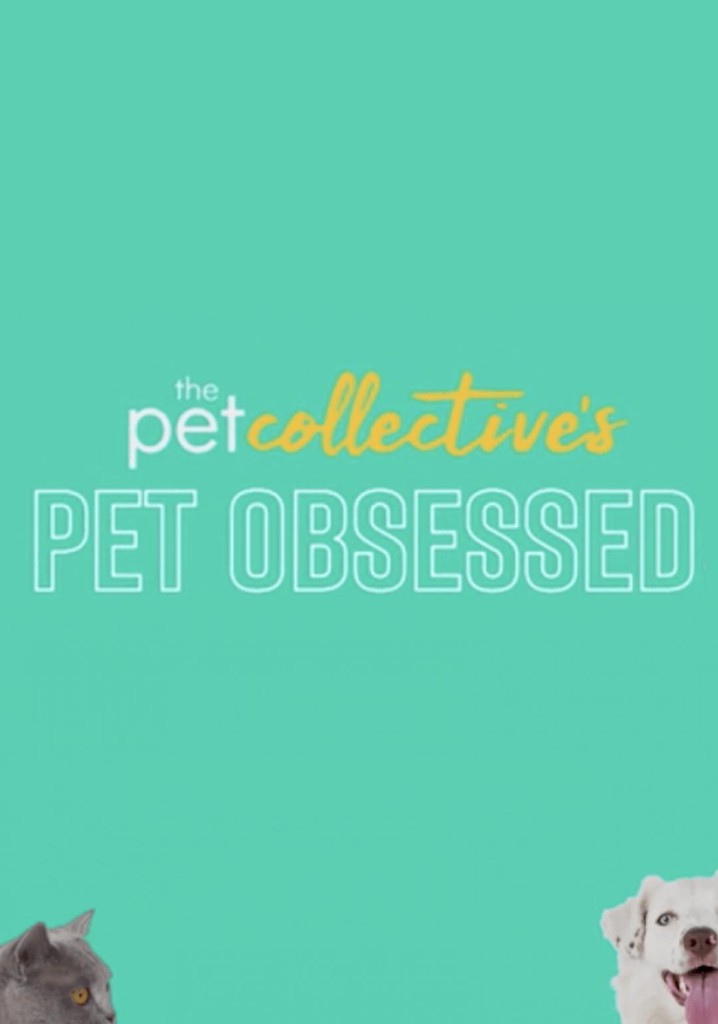 Pet Obsessed poster