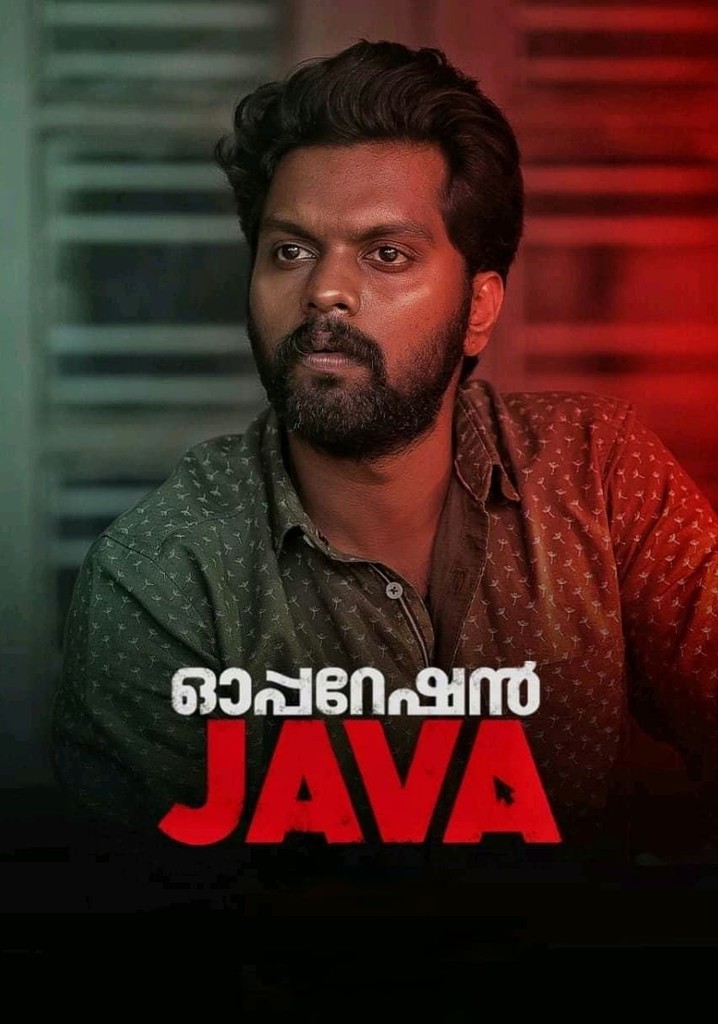 Operation Java poster