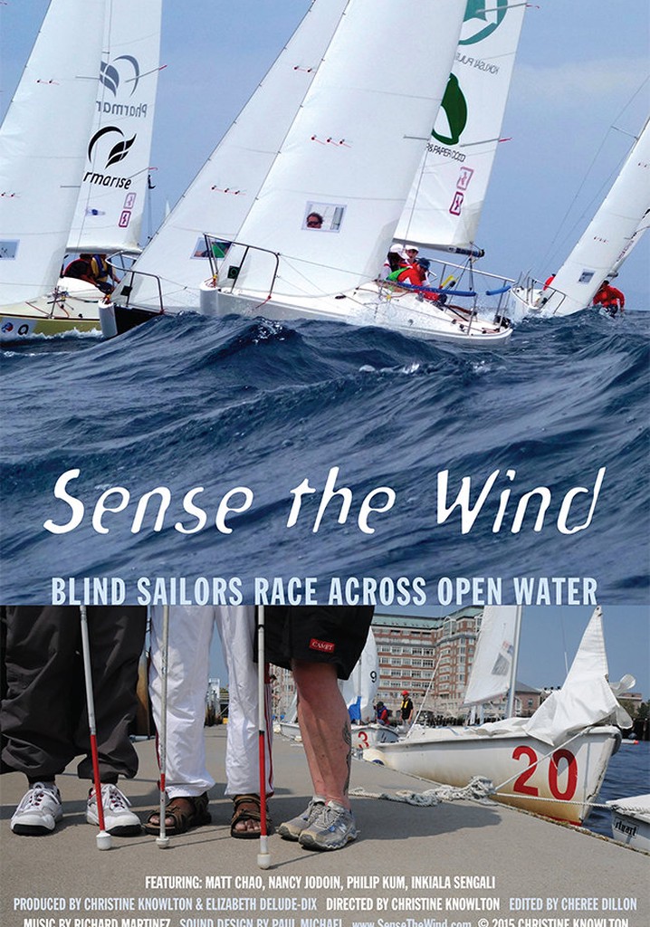 Sense the Wind poster