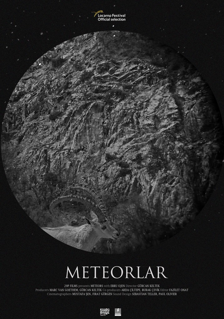 Meteors poster