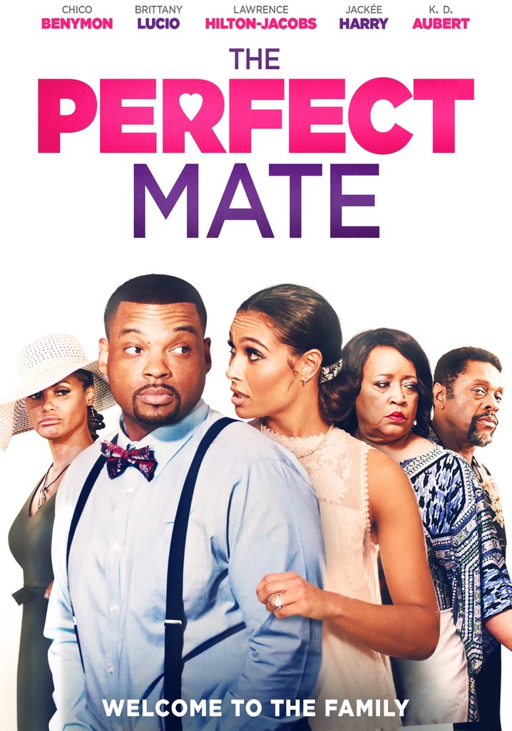 The Perfect Mate poster