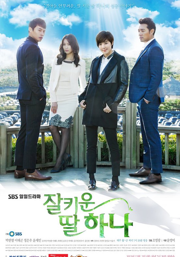 One Well-Raised Daughter poster