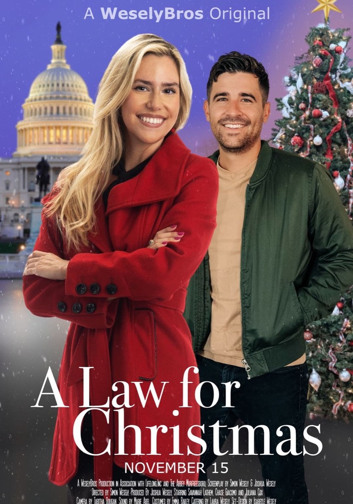 A Law for Christmas poster